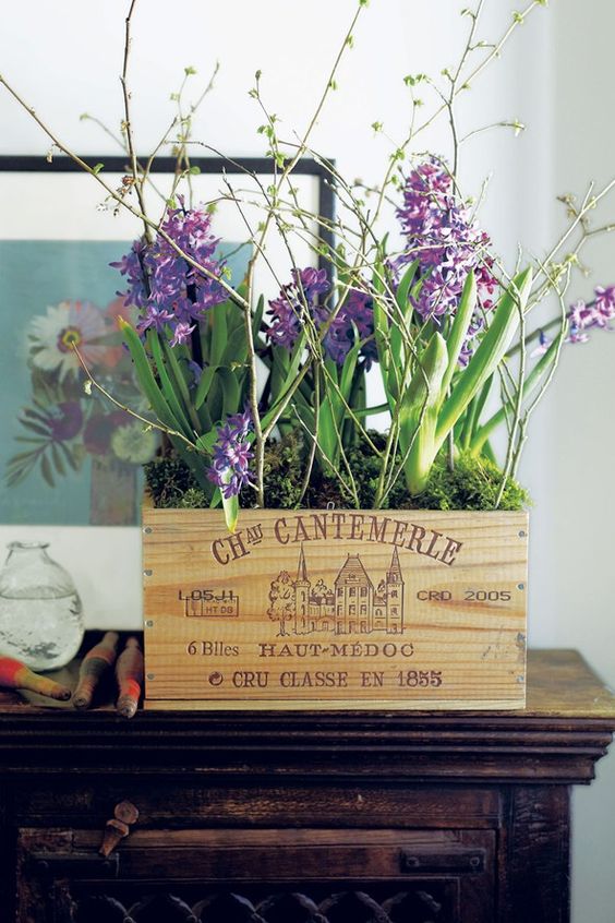 una cassa con muschio, giacinti viola e rami in fiore è una bella idea per uno spazio primaverile