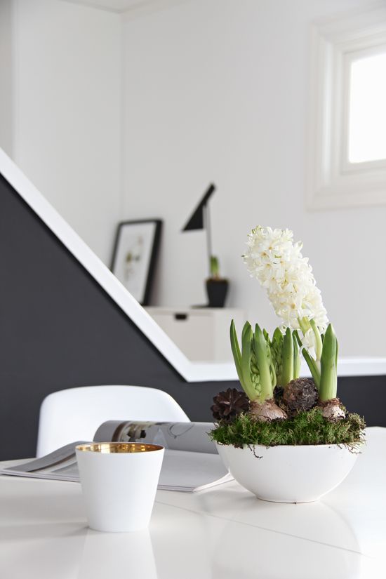 una ciotola bianca con muschio e giacinti bianchi è una deliziosa decorazione scandinava per la primavera