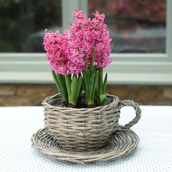 una fioriera da tè intrecciata con giacinti rosa è un'incredibile idea rustica con un tocco primaverile per il tuo spazio
