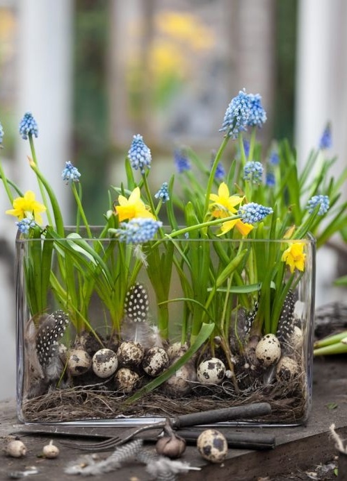 una decorazione primaverile creativa: un grande vaso di vetro con fieno, uova e piume finte e giacinti blu e narcisi gialli