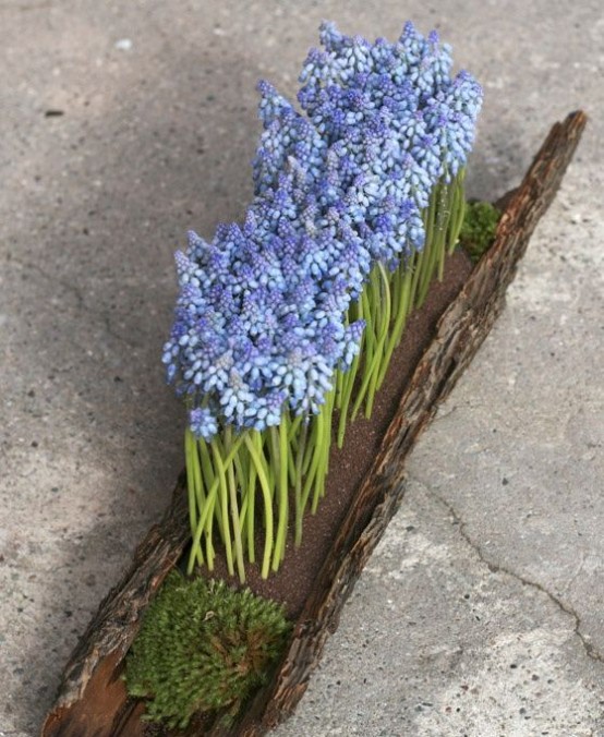 un tronco con muschio e giacinti blu piantati è una decorazione primaverile molto creativa e audace per l'esterno