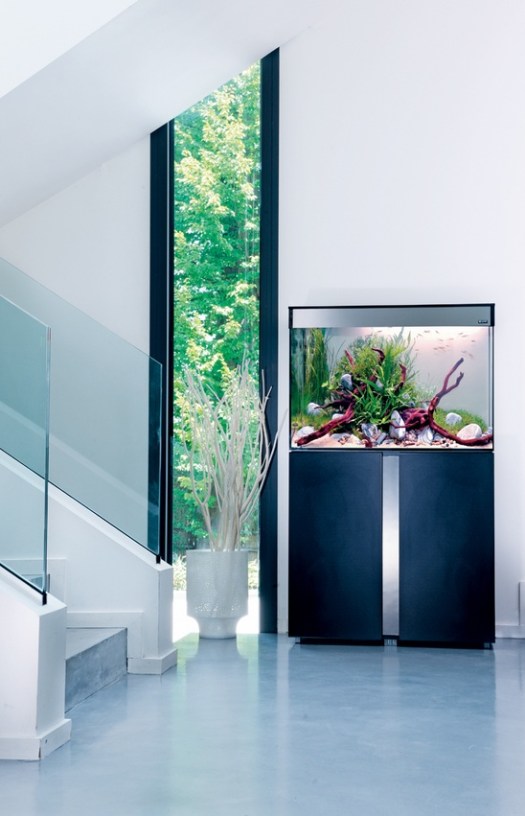 uno spazio minimalista abbellito con un acquario su un supporto in metallo che aggiunge valore decorativo all'angolo