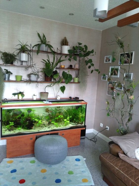 un angolo soggiorno con un acquario e tante piante in vaso rilasserà la tua stanza e la renderà accogliente