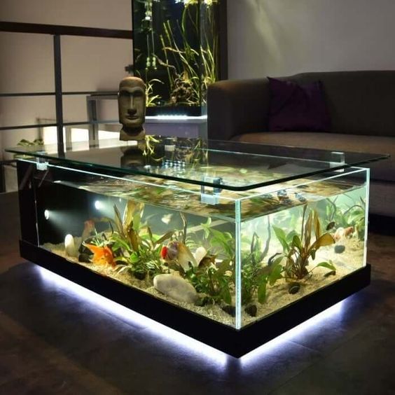 un acquario illuminato come un grande tavolino da caffè è un'idea decorativa che renderà la tua stanza unica