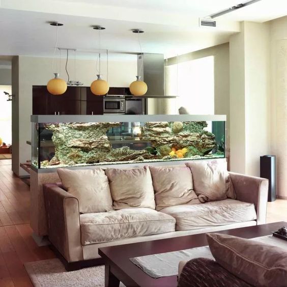 un grande acquario per dividere il soggiorno e la cucina è un'opzione molto fresca e bella da provare
