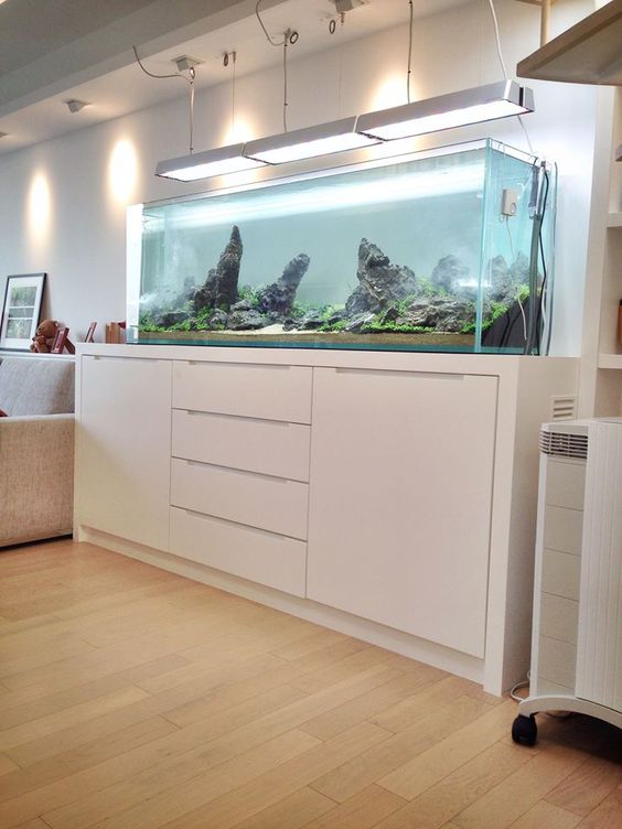 uno spazio bianco minimalista rifinito con un acquario senza pesci sembra più vivo e fresco