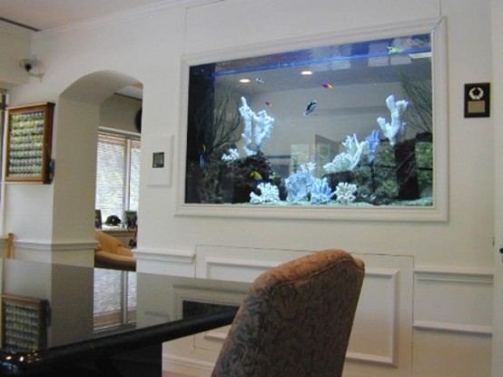 un acquario integrato nel muro della sala da pranzo è un elemento decorativo bello e naturale da provare