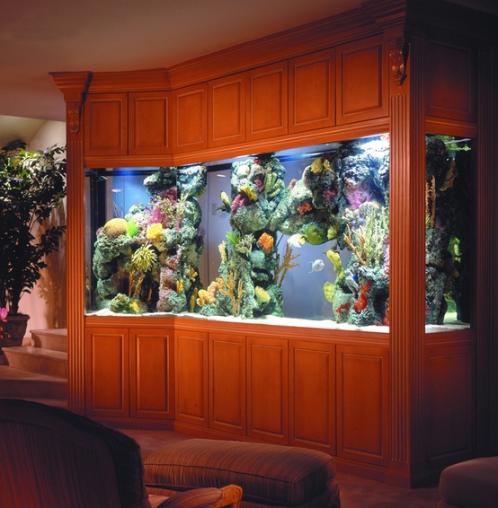 un grande acquario rivestito in legno colorato è un'ottima alternativa alla TV nel tuo soggiorno