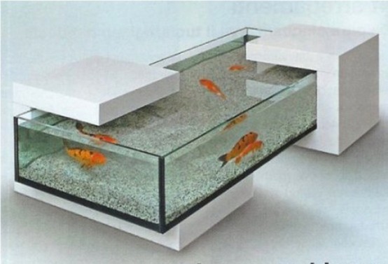 un moderno acquario aperto con supporti per pietre è un'idea fresca e naturale che sembra semplice e fresca