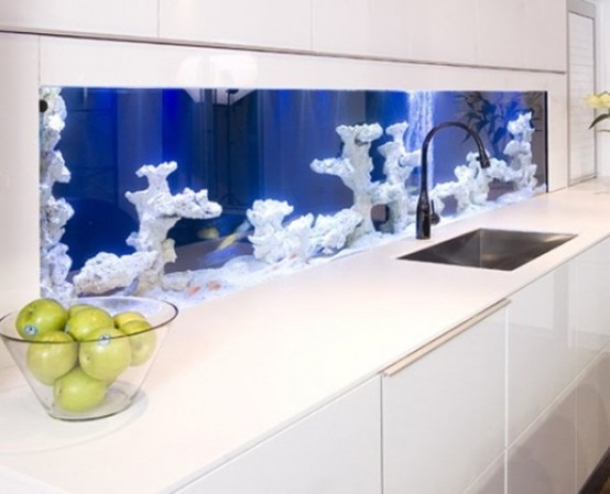 salta un solito backsplash in cucina e crea uno splendido acquario integrato senza pesci per rendere unico il tuo spazio