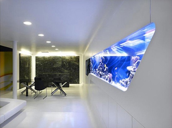 un acquario integrato sarà una fantastica caratteristica di arredo in uno spazio minimalista aggiungendo un'atmosfera naturale