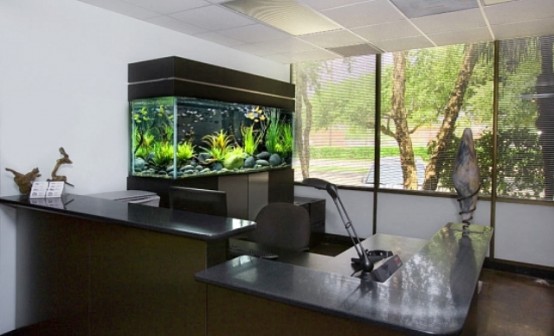 uno spazio ufficio fatto con un acquario come elemento decorativo per un tocco più naturale allo spazio