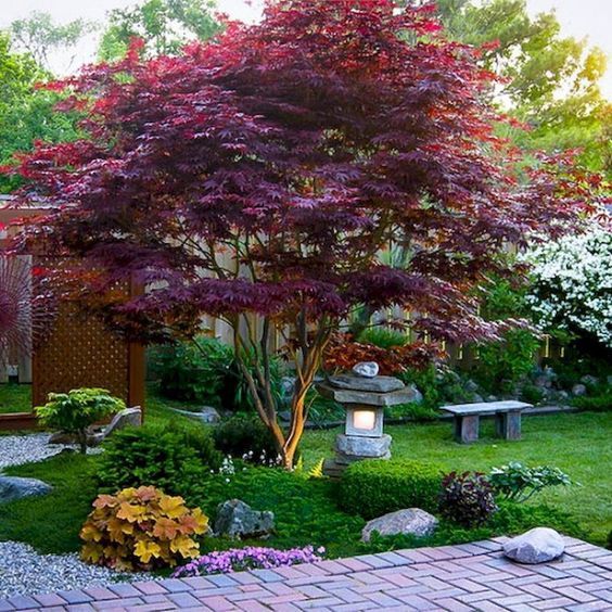 erba, arbusti, fioriture audaci e un acero rosso, una lanterna di pietra più una panchina di pietra per un audace cortile giapponese moderno