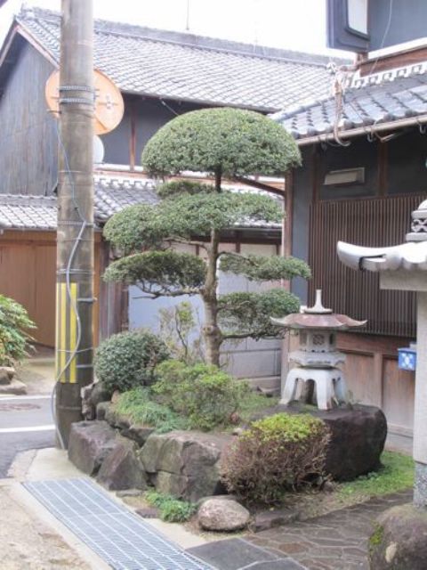 alcune rocce, alberi tradizionali giapponesi tagliati, una lanterna giapponese in pietra, arbusti e vegetazione per un look adorabile e chic