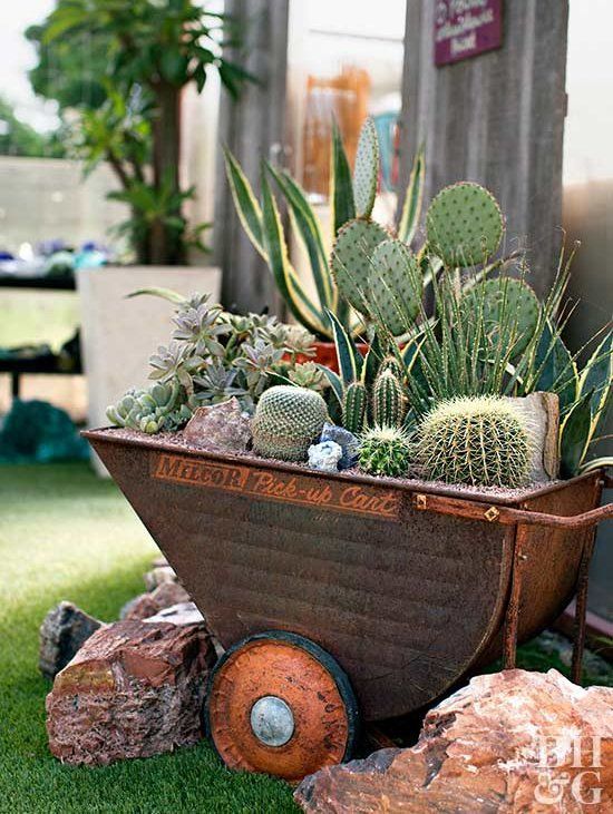 un grande carrello di metallo con piante grasse e cactus è un'idea di arredamento rustico elegante e audace per l'esterno