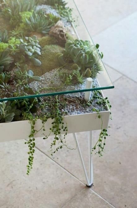 un tavolo moderno con gambe a forcina come una fioriera gigante con piante grasse e muschio e un piano in vetro è sorprendente