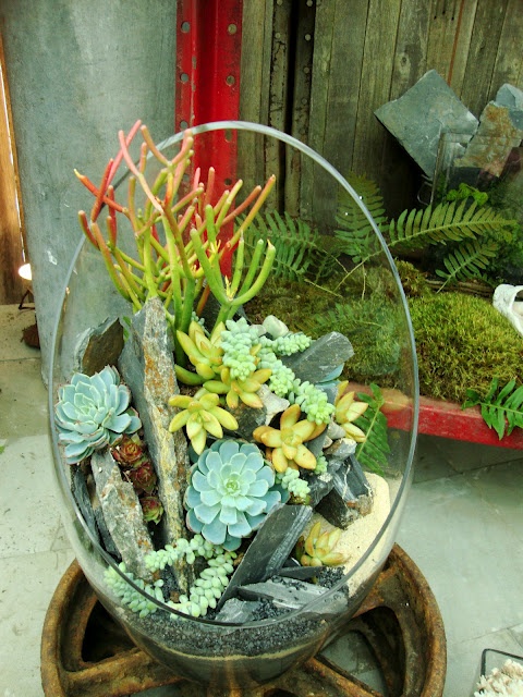 una fioriera arrotondata in vetro con molte piante grasse e cactus, foglie e legni è un elegante centrotavola o decorazione