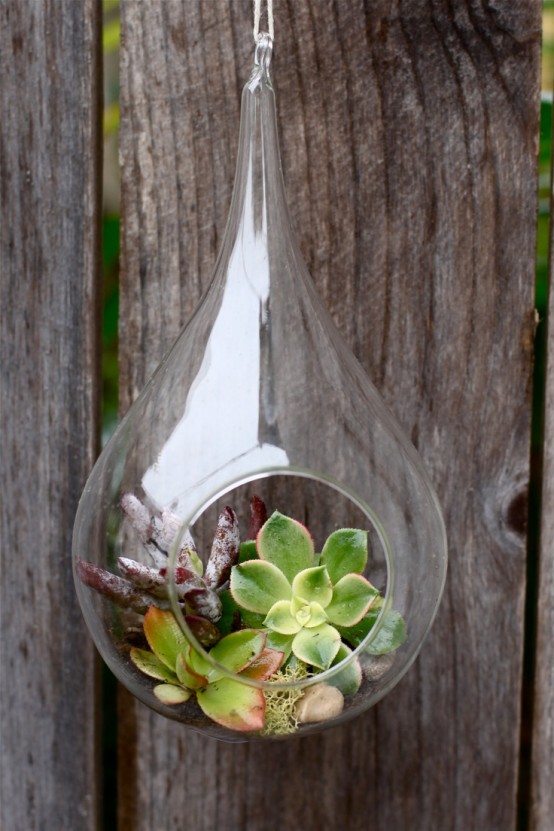 una fioriera sospesa in vetro con muschio e fieno è un'idea elegante e creativa per il tuo spazio