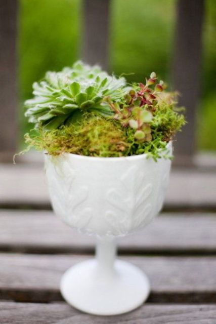 una ciotola bianca strutturata e modellata con muschio e piante grasse è una decorazione elegante per il rock a casa