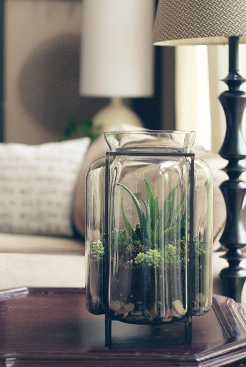 un vaso alto come fioriera con piante grasse di vario tipo è una decorazione moderna e fresca da provare