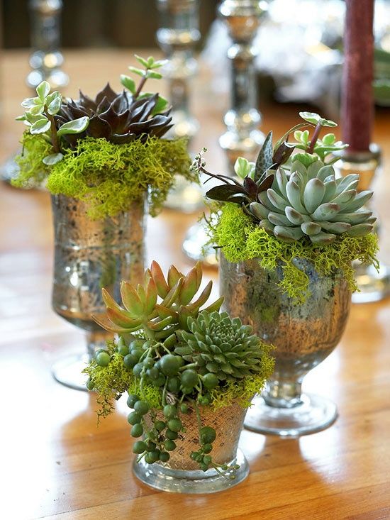 i bicchieri vintage al mercurio con muschio e piante grasse sono decorazioni molto carine e chic per qualsiasi spazio