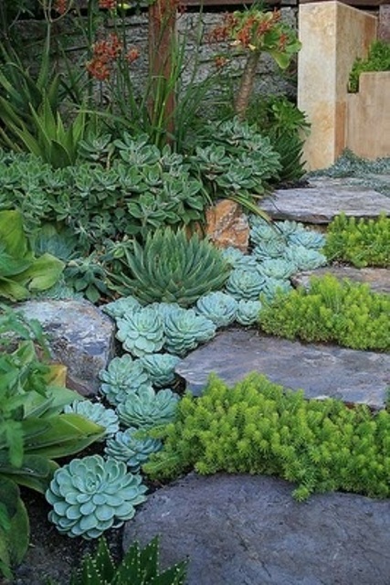 una grande scala in pietra con piante grasse al confine e vegetazione che cresce tra i gradini