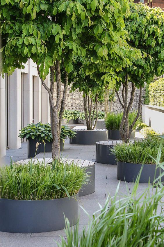 un giardino di casa a schiera minimalista con aiuole minimaliste con erbe e alberi con sedili in legno