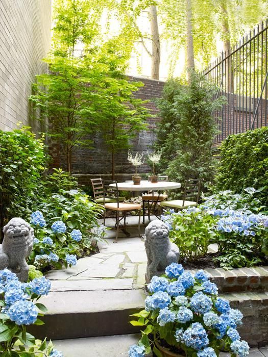 un piccolo giardino in una casa a schiera con alberi, vegetazione, fiori blu, un set da pranzo contemporaneo e decorazioni asiatiche