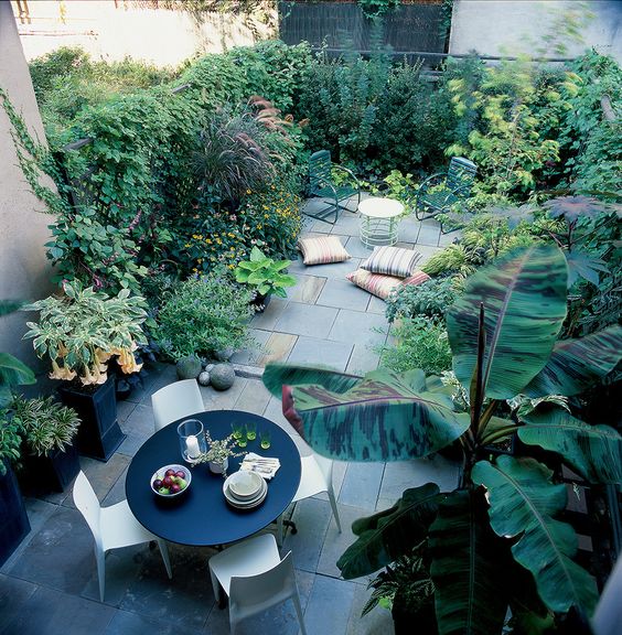 un'oasi in una casa di città con piastrelle in pietra, un set da pranzo contemporaneo con una tavola rotonda, vegetazione e piante in crescita e alcuni cuscini