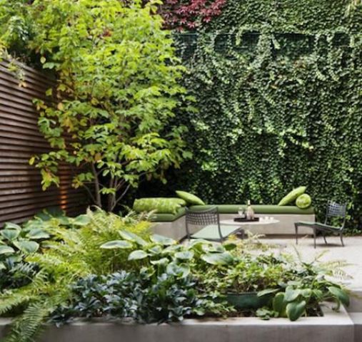 un giardino in una residenza di città contemporanea con pietra e cemento, vegetazione in vaso e pareti viventi più un albero