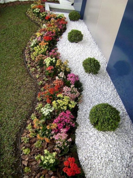 un bordo del giardino vivente con fiori luminosi è un'idea elegante e preppy che aggiungerà colore e audacia allo spazio