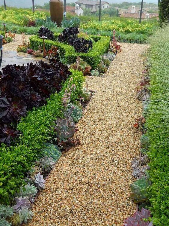 un bordo del giardino vivente fatto con piante grasse verdi e viola di grandi dimensioni è un'idea di tendenza per ogni giardino moderno