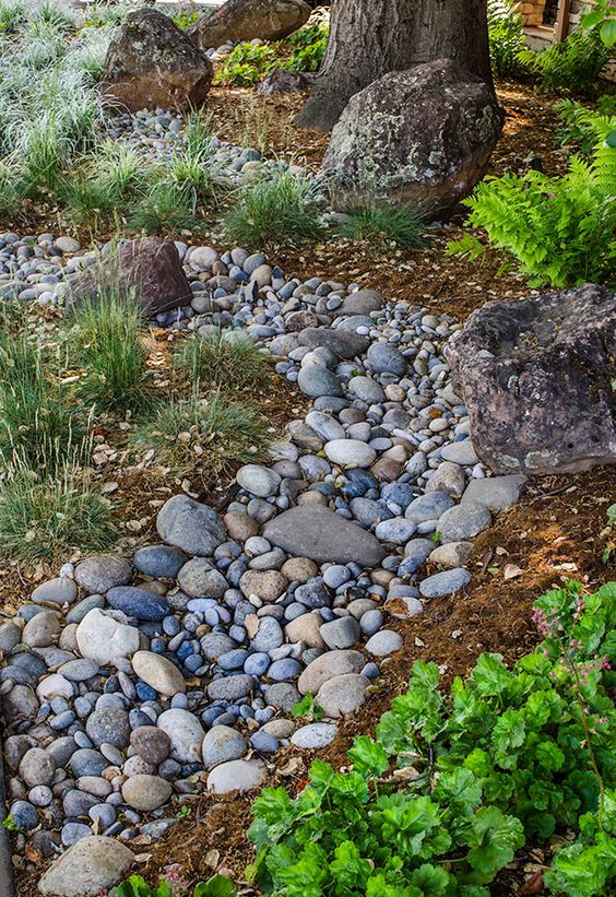 un ruscello secco di roccia di fiume con erbe intorno è una caratteristica di arredamento fresco e naturale per un giardino con acque basse