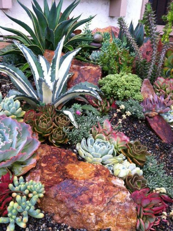 rocce grandi e audaci con piante grasse pallide e neutre compongono un giardino desertico fresco e accattivante
