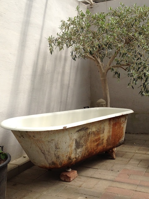 un angolo del bagno shabby chic con un albero in vaso e una vasca da bagno shabby chic