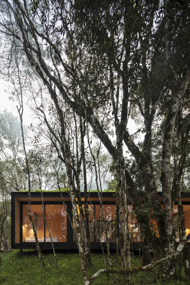 Casa prefabbricata in legno 90 mq nella foresta brasiliana