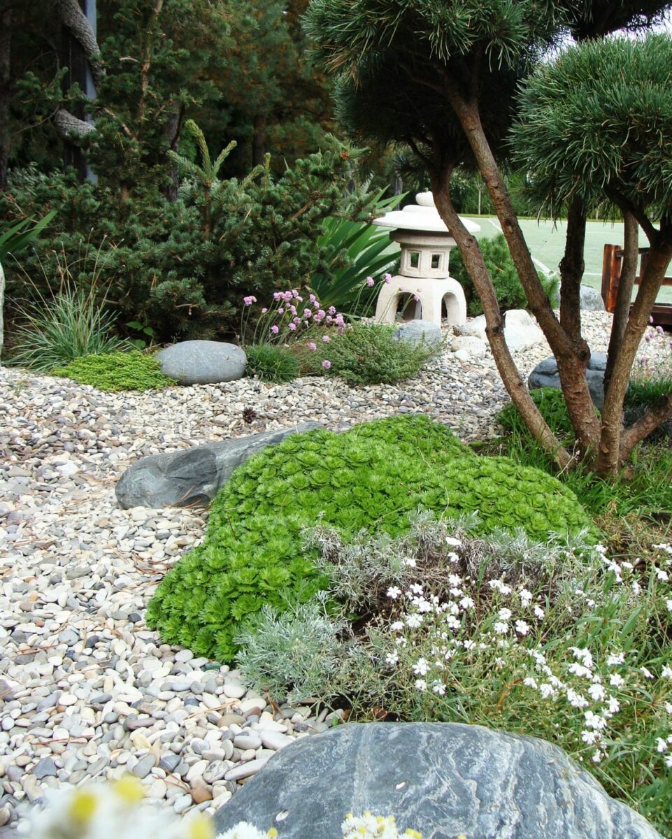 Idee moderne per progettare giardini con poca acqua